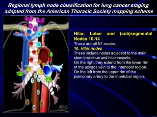Regional lymph node classification for lung cancer staging
adapted from the American Thoracic Society mapping scheme

Hilar, Lobar
Nodes 10-14

and

(sub)segmental

These are all N1-nodes.
10. Hilar nodes
These include nodes adjacent to the main
stem bronchus and hilar vessels.
On the right they extend from the lower rim
of the azygos vein to the interlobar region.
On the left from the upper rim of the
pulmonary artery to the interlobar region.

 