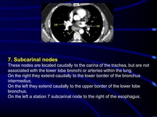 7. Subcarinal nodes
These nodes are located caudally to the carina of the trachea, but are not
associated with the lower lobe bronchi or arteries within the lung.
On the right they extend caudally to the lower border of the bronchus
intermedius.
On the left they extend caudally to the upper border of the lower lobe
bronchus.
On the left a station 7 subcarinal node to the right of the esophagus.

 