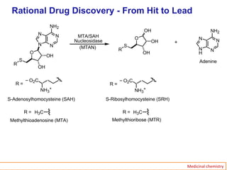 Hit Ran Nh3 Medicinal chemistry Basics | PPTX
