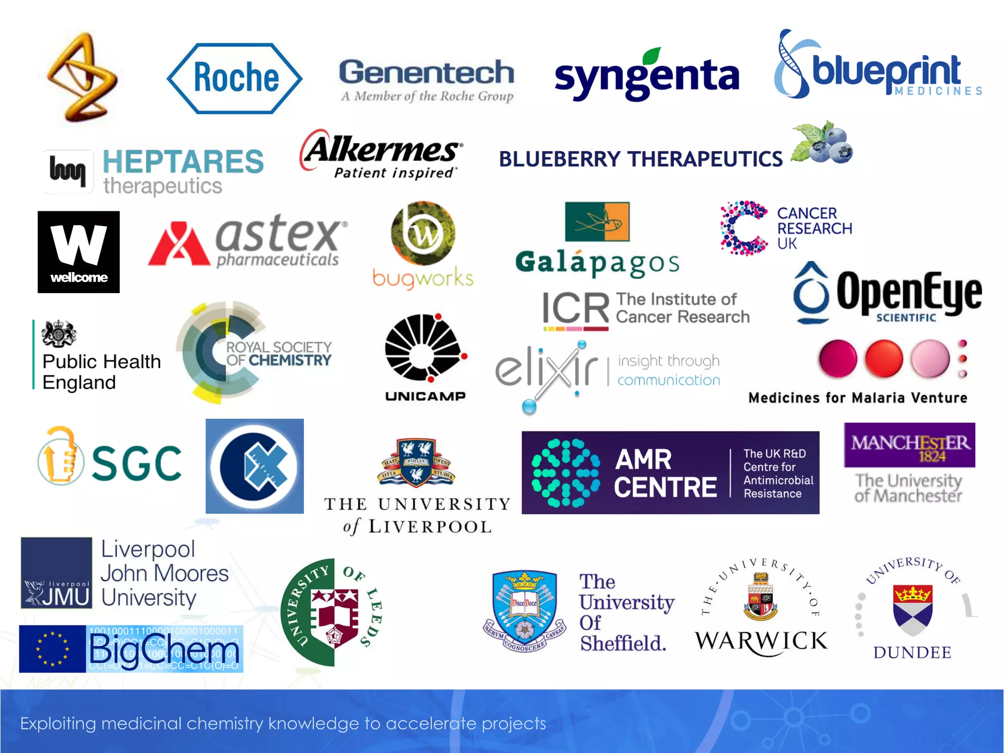 Exploiting medicinal chemistry knowledge to accelerate projects
 
