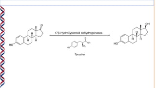 17β-Hydroxysteroid dehydrogenases
Tyrosine
 