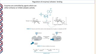 Regulation of enzymes/ allosteic binding
Enzymes are controlled by agents which can
either enhance or inhibit catalytic activity
 