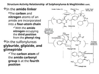 Structure Activity Relationship of Sulphonylurea & Meglitinides cont.
In the amido linker
The carbon and
nitrogen atoms of an
amide are incorporated
into a four-atom chain
With the amido
nitrogen occupying
the third position
from the phenyl ring
In the sulfonylureas
glyburide, glipizide, and
glimepiride
The carbon atom of
the amido carbonyl
group is at the fourth
position
 