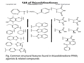 SAR of Thiazolidinediones
Fig. Common structural features found in thiazolidinedione PPARγ
agonists & related compounds
 