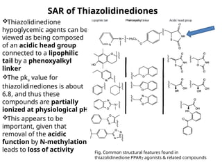 SAR of Thiazolidinediones
Thiazolidinedione
hypoglycemic agents can be
viewed as being composed
of an acidic head group
connected to a lipophilic
tail by a phenoxyalkyl
linker
The pka value for
thiazolidinediones is about
6.8, and thus these
compounds are partially
ionized at physiological pH
This appears to be
important, given that
removal of the acidic
function by N-methylation
leads to loss of activity Fig. Common structural features found in
thiazolidinedione PPARγ agonists & related compounds
 