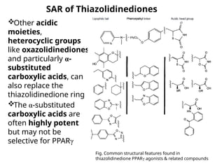SAR of Thiazolidinediones
Other acidic
moieties,
heterocyclic groups
like oxazolidinediones
and particularly α-
substituted
carboxylic acids, can
also replace the
thiazolidinedione ring
The α-substituted
carboxylic acids are
often highly potent
but may not be
selective for PPARγ
Fig. Common structural features found in
thiazolidinedione PPARγ agonists & related compounds
 