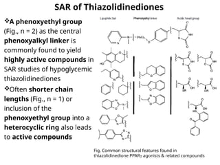 SAR of Thiazolidinediones
A phenoxyethyl group
(Fig., n = 2) as the central
phenoxyalkyl linker is
commonly found to yield
highly active compounds in
SAR studies of hypoglycemic
thiazolidinediones
Often shorter chain
lengths (Fig., n = 1) or
inclusion of the
phenoxyethyl group into a
heterocyclic ring also leads
to active compounds
Fig. Common structural features found in
thiazolidinedione PPARγ agonists & related compounds
 