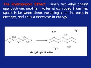 *
The Hydrophobic Effect : when two alkyl chains
approach one another, water is extruded from the
space in between them, resulting in an increase in
entropy, and thus a decrease in energy.
 
