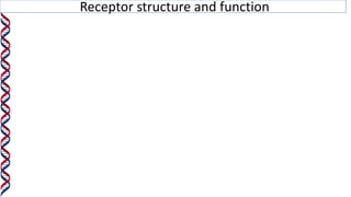 Receptor structure and function
 