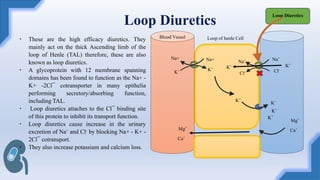 Comprehensive Overview of Diuretics and Urinary System Pharmacology | PDF