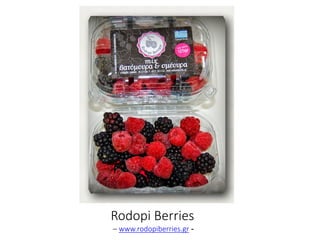 Rodopi Berries
– www.rodopiberries.gr -
 
