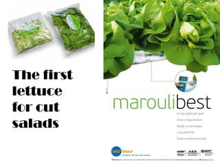 The first
lettuce
for cut
salads
 