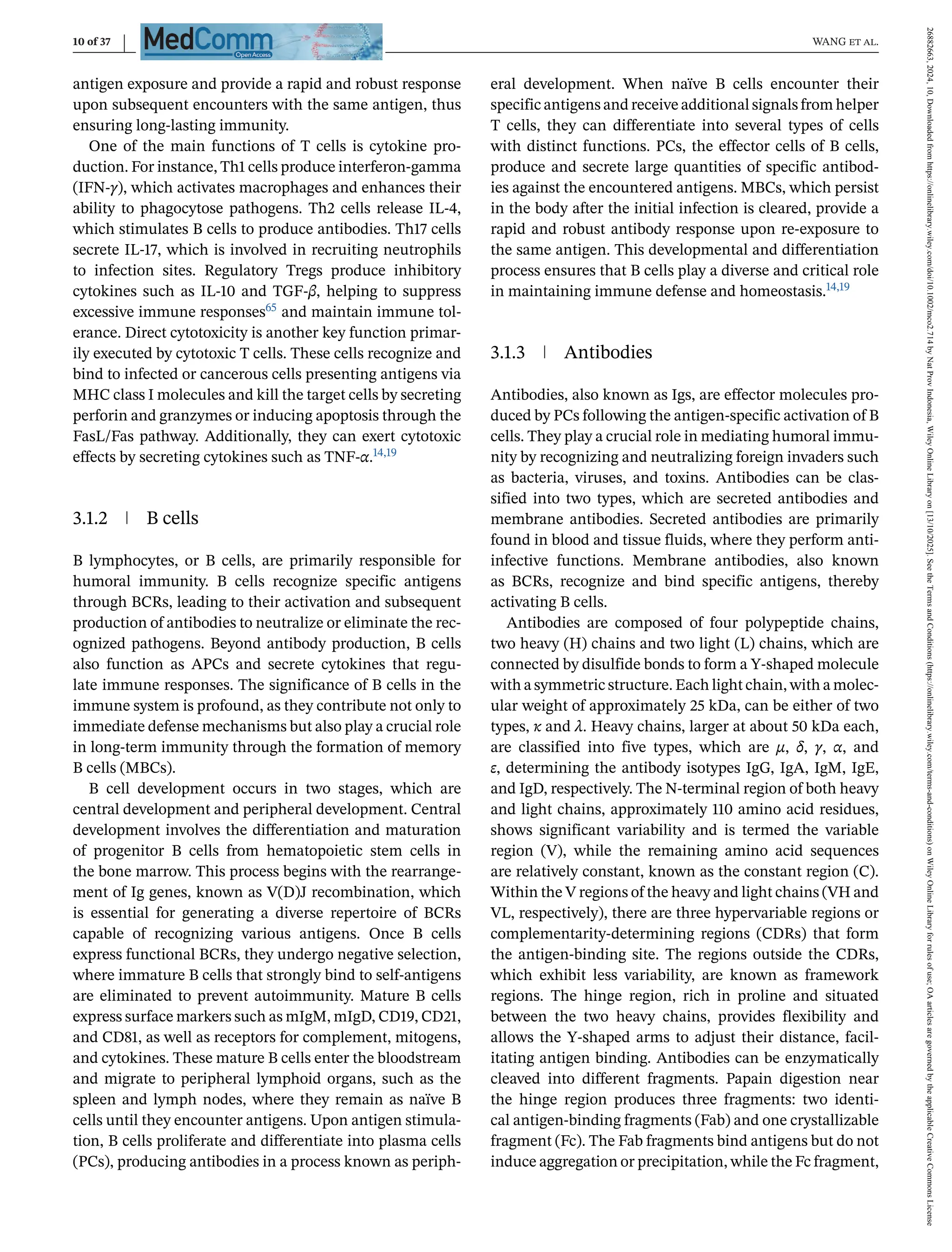 10 of 37 WANG et al.
antigen exposure and provide a rapid and robust response
upon subsequent encounters with the same antigen, thus
ensuring long-lasting immunity.
One of the main functions of T cells is cytokine pro-
duction. For instance, Th1 cells produce interferon-gamma
(IFN-γ), which activates macrophages and enhances their
ability to phagocytose pathogens. Th2 cells release IL-4,
which stimulates B cells to produce antibodies. Th17 cells
secrete IL-17, which is involved in recruiting neutrophils
to infection sites. Regulatory Tregs produce inhibitory
cytokines such as IL-10 and TGF-β, helping to suppress
excessive immune responses65 and maintain immune tol-
erance. Direct cytotoxicity is another key function primar-
ily executed by cytotoxic T cells. These cells recognize and
bind to infected or cancerous cells presenting antigens via
MHC class I molecules and kill the target cells by secreting
perforin and granzymes or inducing apoptosis through the
FasL/Fas pathway. Additionally, they can exert cytotoxic
effects by secreting cytokines such as TNF-α.14,19
3.1.2 B cells
B lymphocytes, or B cells, are primarily responsible for
humoral immunity. B cells recognize specific antigens
through BCRs, leading to their activation and subsequent
production of antibodies to neutralize or eliminate the rec-
ognized pathogens. Beyond antibody production, B cells
also function as APCs and secrete cytokines that regu-
late immune responses. The significance of B cells in the
immune system is profound, as they contribute not only to
immediate defense mechanisms but also play a crucial role
in long-term immunity through the formation of memory
B cells (MBCs).
B cell development occurs in two stages, which are
central development and peripheral development. Central
development involves the differentiation and maturation
of progenitor B cells from hematopoietic stem cells in
the bone marrow. This process begins with the rearrange-
ment of Ig genes, known as V(D)J recombination, which
is essential for generating a diverse repertoire of BCRs
capable of recognizing various antigens. Once B cells
express functional BCRs, they undergo negative selection,
where immature B cells that strongly bind to self-antigens
are eliminated to prevent autoimmunity. Mature B cells
express surface markers such as mIgM, mIgD, CD19, CD21,
and CD81, as well as receptors for complement, mitogens,
and cytokines. These mature B cells enter the bloodstream
and migrate to peripheral lymphoid organs, such as the
spleen and lymph nodes, where they remain as naïve B
cells until they encounter antigens. Upon antigen stimula-
tion, B cells proliferate and differentiate into plasma cells
(PCs), producing antibodies in a process known as periph-
eral development. When naïve B cells encounter their
specific antigens and receive additional signals from helper
T cells, they can differentiate into several types of cells
with distinct functions. PCs, the effector cells of B cells,
produce and secrete large quantities of specific antibod-
ies against the encountered antigens. MBCs, which persist
in the body after the initial infection is cleared, provide a
rapid and robust antibody response upon re-exposure to
the same antigen. This developmental and differentiation
process ensures that B cells play a diverse and critical role
in maintaining immune defense and homeostasis.14,19
3.1.3 Antibodies
Antibodies, also known as Igs, are effector molecules pro-
duced by PCs following the antigen-specific activation of B
cells. They play a crucial role in mediating humoral immu-
nity by recognizing and neutralizing foreign invaders such
as bacteria, viruses, and toxins. Antibodies can be clas-
sified into two types, which are secreted antibodies and
membrane antibodies. Secreted antibodies are primarily
found in blood and tissue fluids, where they perform anti-
infective functions. Membrane antibodies, also known
as BCRs, recognize and bind specific antigens, thereby
activating B cells.
Antibodies are composed of four polypeptide chains,
two heavy (H) chains and two light (L) chains, which are
connected by disulfide bonds to form a Y-shaped molecule
with a symmetric structure. Each light chain, with a molec-
ular weight of approximately 25 kDa, can be either of two
types, κ and λ. Heavy chains, larger at about 50 kDa each,
are classified into five types, which are μ, δ, γ, α, and
ε, determining the antibody isotypes IgG, IgA, IgM, IgE,
and IgD, respectively. The N-terminal region of both heavy
and light chains, approximately 110 amino acid residues,
shows significant variability and is termed the variable
region (V), while the remaining amino acid sequences
are relatively constant, known as the constant region (C).
Within the V regions of the heavy and light chains (VH and
VL, respectively), there are three hypervariable regions or
complementarity-determining regions (CDRs) that form
the antigen-binding site. The regions outside the CDRs,
which exhibit less variability, are known as framework
regions. The hinge region, rich in proline and situated
between the two heavy chains, provides flexibility and
allows the Y-shaped arms to adjust their distance, facil-
itating antigen binding. Antibodies can be enzymatically
cleaved into different fragments. Papain digestion near
the hinge region produces three fragments: two identi-
cal antigen-binding fragments (Fab) and one crystallizable
fragment (Fc). The Fab fragments bind antigens but do not
induce aggregation or precipitation, while the Fc fragment,
26882663,
2024,
10,
Downloaded
from
https://onlinelibrary.wiley.com/doi/10.1002/mco2.714
by
Nat
Prov
Indonesia,
Wiley
Online
Library
on
[13/10/2025].
See
the
Terms
and
Conditions
(https://onlinelibrary.wiley.com/terms-and-conditions)
on
Wiley
Online
Library
for
rules
of
use;
OA
articles
are
governed
by
the
applicable
Creative
Commons
License
 