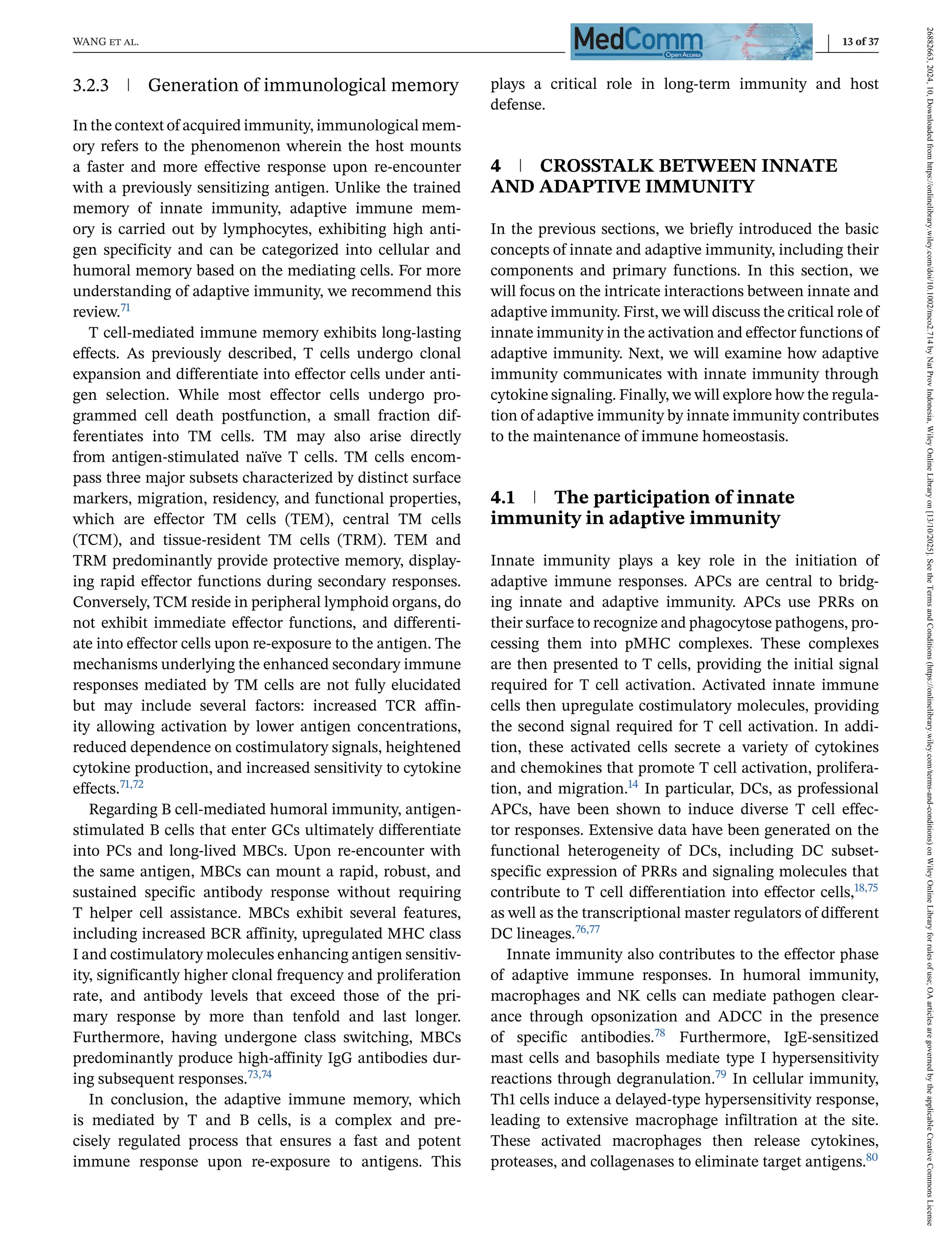 WANG et al. 13 of 37
3.2.3 Generation of immunological memory
In the context of acquired immunity, immunological mem-
ory refers to the phenomenon wherein the host mounts
a faster and more effective response upon re-encounter
with a previously sensitizing antigen. Unlike the trained
memory of innate immunity, adaptive immune mem-
ory is carried out by lymphocytes, exhibiting high anti-
gen specificity and can be categorized into cellular and
humoral memory based on the mediating cells. For more
understanding of adaptive immunity, we recommend this
review.71
T cell-mediated immune memory exhibits long-lasting
effects. As previously described, T cells undergo clonal
expansion and differentiate into effector cells under anti-
gen selection. While most effector cells undergo pro-
grammed cell death postfunction, a small fraction dif-
ferentiates into TM cells. TM may also arise directly
from antigen-stimulated naïve T cells. TM cells encom-
pass three major subsets characterized by distinct surface
markers, migration, residency, and functional properties,
which are effector TM cells (TEM), central TM cells
(TCM), and tissue-resident TM cells (TRM). TEM and
TRM predominantly provide protective memory, display-
ing rapid effector functions during secondary responses.
Conversely, TCM reside in peripheral lymphoid organs, do
not exhibit immediate effector functions, and differenti-
ate into effector cells upon re-exposure to the antigen. The
mechanisms underlying the enhanced secondary immune
responses mediated by TM cells are not fully elucidated
but may include several factors: increased TCR affin-
ity allowing activation by lower antigen concentrations,
reduced dependence on costimulatory signals, heightened
cytokine production, and increased sensitivity to cytokine
effects.71,72
Regarding B cell-mediated humoral immunity, antigen-
stimulated B cells that enter GCs ultimately differentiate
into PCs and long-lived MBCs. Upon re-encounter with
the same antigen, MBCs can mount a rapid, robust, and
sustained specific antibody response without requiring
T helper cell assistance. MBCs exhibit several features,
including increased BCR affinity, upregulated MHC class
I and costimulatory molecules enhancing antigen sensitiv-
ity, significantly higher clonal frequency and proliferation
rate, and antibody levels that exceed those of the pri-
mary response by more than tenfold and last longer.
Furthermore, having undergone class switching, MBCs
predominantly produce high-affinity IgG antibodies dur-
ing subsequent responses.73,74
In conclusion, the adaptive immune memory, which
is mediated by T and B cells, is a complex and pre-
cisely regulated process that ensures a fast and potent
immune response upon re-exposure to antigens. This
plays a critical role in long-term immunity and host
defense.
4 CROSSTALK BETWEEN INNATE
AND ADAPTIVE IMMUNITY
In the previous sections, we briefly introduced the basic
concepts of innate and adaptive immunity, including their
components and primary functions. In this section, we
will focus on the intricate interactions between innate and
adaptive immunity. First, we will discuss the critical role of
innate immunity in the activation and effector functions of
adaptive immunity. Next, we will examine how adaptive
immunity communicates with innate immunity through
cytokine signaling. Finally, we will explore how the regula-
tion of adaptive immunity by innate immunity contributes
to the maintenance of immune homeostasis.
4.1 The participation of innate
immunity in adaptive immunity
Innate immunity plays a key role in the initiation of
adaptive immune responses. APCs are central to bridg-
ing innate and adaptive immunity. APCs use PRRs on
their surface to recognize and phagocytose pathogens, pro-
cessing them into pMHC complexes. These complexes
are then presented to T cells, providing the initial signal
required for T cell activation. Activated innate immune
cells then upregulate costimulatory molecules, providing
the second signal required for T cell activation. In addi-
tion, these activated cells secrete a variety of cytokines
and chemokines that promote T cell activation, prolifera-
tion, and migration.14 In particular, DCs, as professional
APCs, have been shown to induce diverse T cell effec-
tor responses. Extensive data have been generated on the
functional heterogeneity of DCs, including DC subset-
specific expression of PRRs and signaling molecules that
contribute to T cell differentiation into effector cells,18,75
as well as the transcriptional master regulators of different
DC lineages.76,77
Innate immunity also contributes to the effector phase
of adaptive immune responses. In humoral immunity,
macrophages and NK cells can mediate pathogen clear-
ance through opsonization and ADCC in the presence
of specific antibodies.78 Furthermore, IgE-sensitized
mast cells and basophils mediate type I hypersensitivity
reactions through degranulation.79 In cellular immunity,
Th1 cells induce a delayed-type hypersensitivity response,
leading to extensive macrophage infiltration at the site.
These activated macrophages then release cytokines,
proteases, and collagenases to eliminate target antigens.80
26882663,
2024,
10,
Downloaded
from
https://onlinelibrary.wiley.com/doi/10.1002/mco2.714
by
Nat
Prov
Indonesia,
Wiley
Online
Library
on
[13/10/2025].
See
the
Terms
and
Conditions
(https://onlinelibrary.wiley.com/terms-and-conditions)
on
Wiley
Online
Library
for
rules
of
use;
OA
articles
are
governed
by
the
applicable
Creative
Commons
License
 