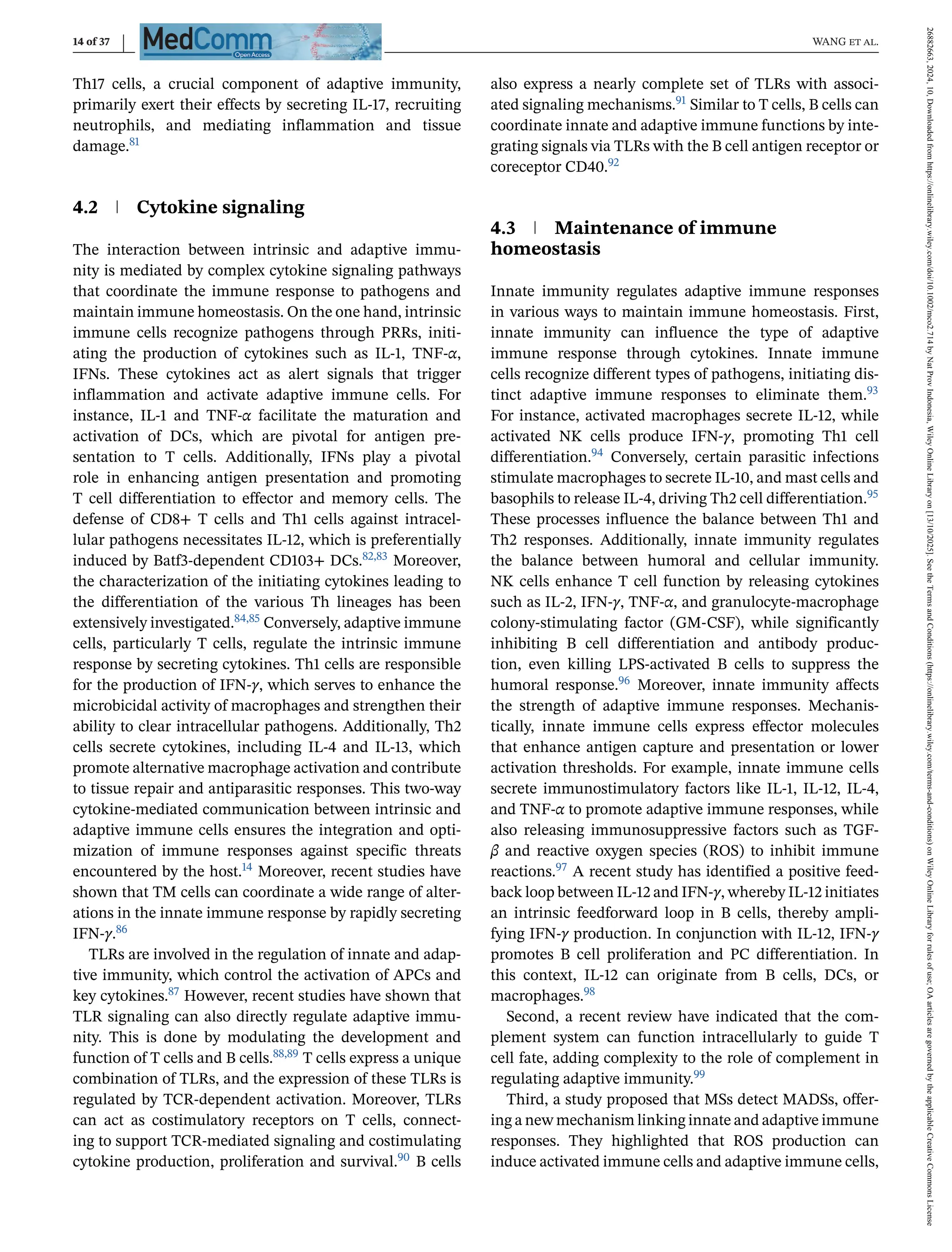 14 of 37 WANG et al.
Th17 cells, a crucial component of adaptive immunity,
primarily exert their effects by secreting IL-17, recruiting
neutrophils, and mediating inflammation and tissue
damage.81
4.2 Cytokine signaling
The interaction between intrinsic and adaptive immu-
nity is mediated by complex cytokine signaling pathways
that coordinate the immune response to pathogens and
maintain immune homeostasis. On the one hand, intrinsic
immune cells recognize pathogens through PRRs, initi-
ating the production of cytokines such as IL-1, TNF-α,
IFNs. These cytokines act as alert signals that trigger
inflammation and activate adaptive immune cells. For
instance, IL-1 and TNF-α facilitate the maturation and
activation of DCs, which are pivotal for antigen pre-
sentation to T cells. Additionally, IFNs play a pivotal
role in enhancing antigen presentation and promoting
T cell differentiation to effector and memory cells. The
defense of CD8+ T cells and Th1 cells against intracel-
lular pathogens necessitates IL-12, which is preferentially
induced by Batf3-dependent CD103+ DCs.82,83 Moreover,
the characterization of the initiating cytokines leading to
the differentiation of the various Th lineages has been
extensively investigated.84,85 Conversely, adaptive immune
cells, particularly T cells, regulate the intrinsic immune
response by secreting cytokines. Th1 cells are responsible
for the production of IFN-γ, which serves to enhance the
microbicidal activity of macrophages and strengthen their
ability to clear intracellular pathogens. Additionally, Th2
cells secrete cytokines, including IL-4 and IL-13, which
promote alternative macrophage activation and contribute
to tissue repair and antiparasitic responses. This two-way
cytokine-mediated communication between intrinsic and
adaptive immune cells ensures the integration and opti-
mization of immune responses against specific threats
encountered by the host.14 Moreover, recent studies have
shown that TM cells can coordinate a wide range of alter-
ations in the innate immune response by rapidly secreting
IFN-γ.86
TLRs are involved in the regulation of innate and adap-
tive immunity, which control the activation of APCs and
key cytokines.87 However, recent studies have shown that
TLR signaling can also directly regulate adaptive immu-
nity. This is done by modulating the development and
function of T cells and B cells.88,89 T cells express a unique
combination of TLRs, and the expression of these TLRs is
regulated by TCR-dependent activation. Moreover, TLRs
can act as costimulatory receptors on T cells, connect-
ing to support TCR-mediated signaling and costimulating
cytokine production, proliferation and survival.90 B cells
also express a nearly complete set of TLRs with associ-
ated signaling mechanisms.91 Similar to T cells, B cells can
coordinate innate and adaptive immune functions by inte-
grating signals via TLRs with the B cell antigen receptor or
coreceptor CD40.92
4.3 Maintenance of immune
homeostasis
Innate immunity regulates adaptive immune responses
in various ways to maintain immune homeostasis. First,
innate immunity can influence the type of adaptive
immune response through cytokines. Innate immune
cells recognize different types of pathogens, initiating dis-
tinct adaptive immune responses to eliminate them.93
For instance, activated macrophages secrete IL-12, while
activated NK cells produce IFN-γ, promoting Th1 cell
differentiation.94 Conversely, certain parasitic infections
stimulate macrophages to secrete IL-10, and mast cells and
basophils to release IL-4, driving Th2 cell differentiation.95
These processes influence the balance between Th1 and
Th2 responses. Additionally, innate immunity regulates
the balance between humoral and cellular immunity.
NK cells enhance T cell function by releasing cytokines
such as IL-2, IFN-γ, TNF-α, and granulocyte-macrophage
colony-stimulating factor (GM-CSF), while significantly
inhibiting B cell differentiation and antibody produc-
tion, even killing LPS-activated B cells to suppress the
humoral response.96 Moreover, innate immunity affects
the strength of adaptive immune responses. Mechanis-
tically, innate immune cells express effector molecules
that enhance antigen capture and presentation or lower
activation thresholds. For example, innate immune cells
secrete immunostimulatory factors like IL-1, IL-12, IL-4,
and TNF-α to promote adaptive immune responses, while
also releasing immunosuppressive factors such as TGF-
β and reactive oxygen species (ROS) to inhibit immune
reactions.97 A recent study has identified a positive feed-
back loop between IL-12 and IFN-γ, whereby IL-12 initiates
an intrinsic feedforward loop in B cells, thereby ampli-
fying IFN-γ production. In conjunction with IL-12, IFN-γ
promotes B cell proliferation and PC differentiation. In
this context, IL-12 can originate from B cells, DCs, or
macrophages.98
Second, a recent review have indicated that the com-
plement system can function intracellularly to guide T
cell fate, adding complexity to the role of complement in
regulating adaptive immunity.99
Third, a study proposed that MSs detect MADSs, offer-
ing a new mechanism linking innate and adaptive immune
responses. They highlighted that ROS production can
induce activated immune cells and adaptive immune cells,
26882663,
2024,
10,
Downloaded
from
https://onlinelibrary.wiley.com/doi/10.1002/mco2.714
by
Nat
Prov
Indonesia,
Wiley
Online
Library
on
[13/10/2025].
See
the
Terms
and
Conditions
(https://onlinelibrary.wiley.com/terms-and-conditions)
on
Wiley
Online
Library
for
rules
of
use;
OA
articles
are
governed
by
the
applicable
Creative
Commons
License
 