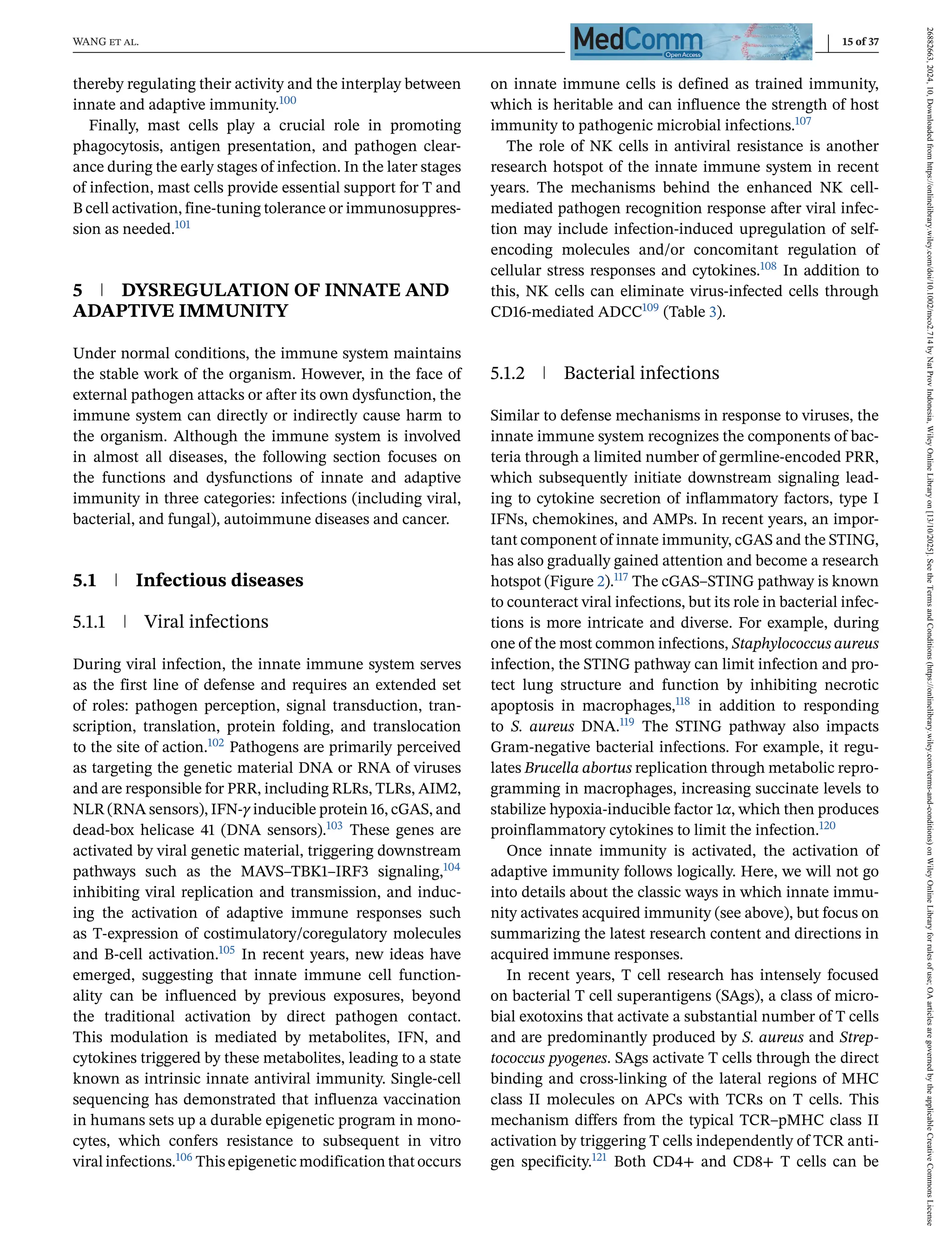 WANG et al. 15 of 37
thereby regulating their activity and the interplay between
innate and adaptive immunity.100
Finally, mast cells play a crucial role in promoting
phagocytosis, antigen presentation, and pathogen clear-
ance during the early stages of infection. In the later stages
of infection, mast cells provide essential support for T and
B cell activation, fine-tuning tolerance or immunosuppres-
sion as needed.101
5 DYSREGULATION OF INNATE AND
ADAPTIVE IMMUNITY
Under normal conditions, the immune system maintains
the stable work of the organism. However, in the face of
external pathogen attacks or after its own dysfunction, the
immune system can directly or indirectly cause harm to
the organism. Although the immune system is involved
in almost all diseases, the following section focuses on
the functions and dysfunctions of innate and adaptive
immunity in three categories: infections (including viral,
bacterial, and fungal), autoimmune diseases and cancer.
5.1 Infectious diseases
5.1.1 Viral infections
During viral infection, the innate immune system serves
as the first line of defense and requires an extended set
of roles: pathogen perception, signal transduction, tran-
scription, translation, protein folding, and translocation
to the site of action.102 Pathogens are primarily perceived
as targeting the genetic material DNA or RNA of viruses
and are responsible for PRR, including RLRs, TLRs, AIM2,
NLR (RNA sensors), IFN-γ inducible protein 16, cGAS, and
dead-box helicase 41 (DNA sensors).103 These genes are
activated by viral genetic material, triggering downstream
pathways such as the MAVS–TBK1–IRF3 signaling,104
inhibiting viral replication and transmission, and induc-
ing the activation of adaptive immune responses such
as T-expression of costimulatory/coregulatory molecules
and B-cell activation.105 In recent years, new ideas have
emerged, suggesting that innate immune cell function-
ality can be influenced by previous exposures, beyond
the traditional activation by direct pathogen contact.
This modulation is mediated by metabolites, IFN, and
cytokines triggered by these metabolites, leading to a state
known as intrinsic innate antiviral immunity. Single-cell
sequencing has demonstrated that influenza vaccination
in humans sets up a durable epigenetic program in mono-
cytes, which confers resistance to subsequent in vitro
viral infections.106 This epigenetic modification that occurs
on innate immune cells is defined as trained immunity,
which is heritable and can influence the strength of host
immunity to pathogenic microbial infections.107
The role of NK cells in antiviral resistance is another
research hotspot of the innate immune system in recent
years. The mechanisms behind the enhanced NK cell-
mediated pathogen recognition response after viral infec-
tion may include infection-induced upregulation of self-
encoding molecules and/or concomitant regulation of
cellular stress responses and cytokines.108 In addition to
this, NK cells can eliminate virus-infected cells through
CD16-mediated ADCC109 (Table 3).
5.1.2 Bacterial infections
Similar to defense mechanisms in response to viruses, the
innate immune system recognizes the components of bac-
teria through a limited number of germline-encoded PRR,
which subsequently initiate downstream signaling lead-
ing to cytokine secretion of inflammatory factors, type I
IFNs, chemokines, and AMPs. In recent years, an impor-
tant component of innate immunity, cGAS and the STING,
has also gradually gained attention and become a research
hotspot (Figure 2).117 The cGAS–STING pathway is known
to counteract viral infections, but its role in bacterial infec-
tions is more intricate and diverse. For example, during
one of the most common infections, Staphylococcus aureus
infection, the STING pathway can limit infection and pro-
tect lung structure and function by inhibiting necrotic
apoptosis in macrophages,118 in addition to responding
to S. aureus DNA.119 The STING pathway also impacts
Gram-negative bacterial infections. For example, it regu-
lates Brucella abortus replication through metabolic repro-
gramming in macrophages, increasing succinate levels to
stabilize hypoxia-inducible factor 1α, which then produces
proinflammatory cytokines to limit the infection.120
Once innate immunity is activated, the activation of
adaptive immunity follows logically. Here, we will not go
into details about the classic ways in which innate immu-
nity activates acquired immunity (see above), but focus on
summarizing the latest research content and directions in
acquired immune responses.
In recent years, T cell research has intensely focused
on bacterial T cell superantigens (SAgs), a class of micro-
bial exotoxins that activate a substantial number of T cells
and are predominantly produced by S. aureus and Strep-
tococcus pyogenes. SAgs activate T cells through the direct
binding and cross-linking of the lateral regions of MHC
class II molecules on APCs with TCRs on T cells. This
mechanism differs from the typical TCR–pMHC class II
activation by triggering T cells independently of TCR anti-
gen specificity.121 Both CD4+ and CD8+ T cells can be
26882663,
2024,
10,
Downloaded
from
https://onlinelibrary.wiley.com/doi/10.1002/mco2.714
by
Nat
Prov
Indonesia,
Wiley
Online
Library
on
[13/10/2025].
See
the
Terms
and
Conditions
(https://onlinelibrary.wiley.com/terms-and-conditions)
on
Wiley
Online
Library
for
rules
of
use;
OA
articles
are
governed
by
the
applicable
Creative
Commons
License
 