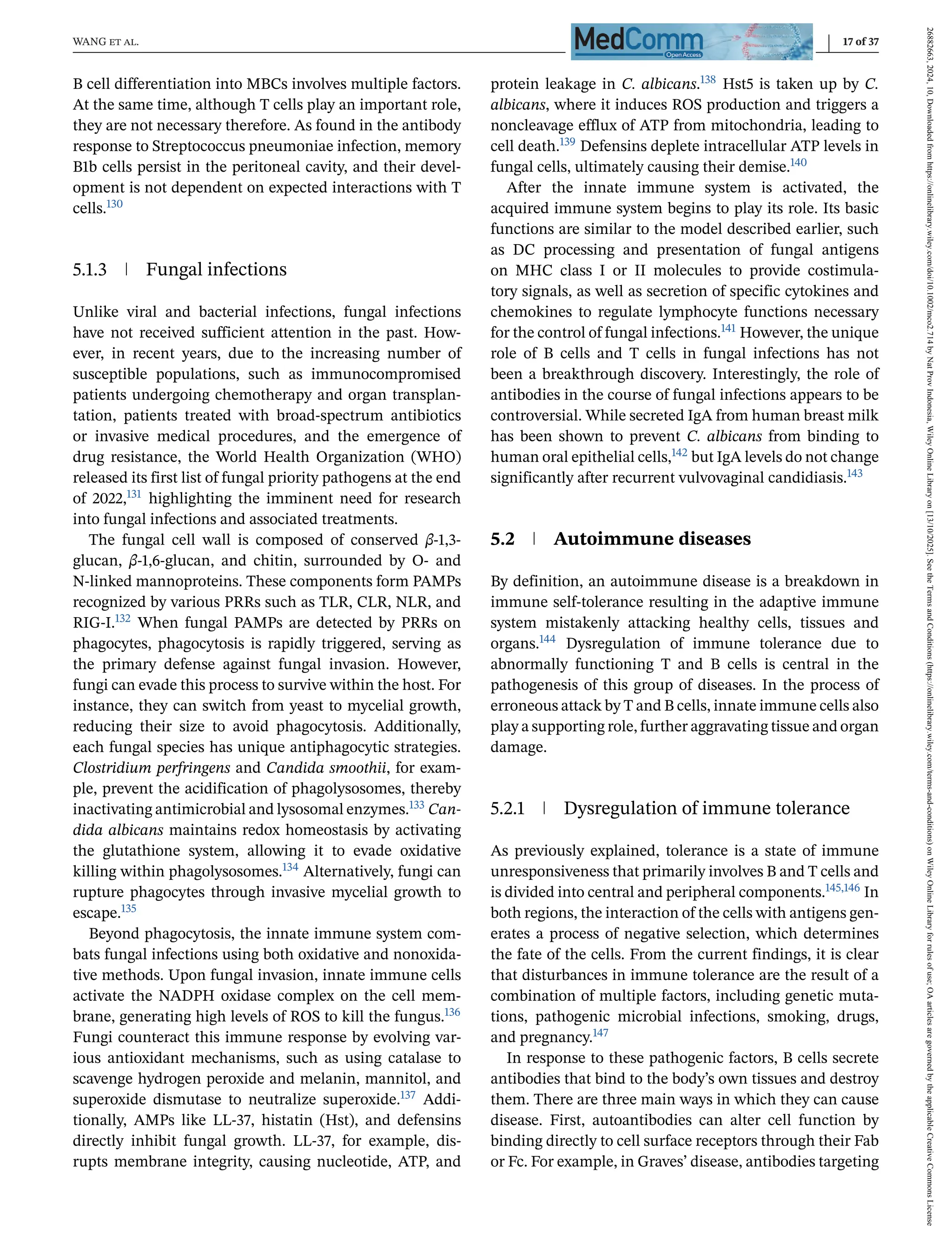 WANG et al. 17 of 37
B cell differentiation into MBCs involves multiple factors.
At the same time, although T cells play an important role,
they are not necessary therefore. As found in the antibody
response to Streptococcus pneumoniae infection, memory
B1b cells persist in the peritoneal cavity, and their devel-
opment is not dependent on expected interactions with T
cells.130
5.1.3 Fungal infections
Unlike viral and bacterial infections, fungal infections
have not received sufficient attention in the past. How-
ever, in recent years, due to the increasing number of
susceptible populations, such as immunocompromised
patients undergoing chemotherapy and organ transplan-
tation, patients treated with broad-spectrum antibiotics
or invasive medical procedures, and the emergence of
drug resistance, the World Health Organization (WHO)
released its first list of fungal priority pathogens at the end
of 2022,131 highlighting the imminent need for research
into fungal infections and associated treatments.
The fungal cell wall is composed of conserved β-1,3-
glucan, β-1,6-glucan, and chitin, surrounded by O- and
N-linked mannoproteins. These components form PAMPs
recognized by various PRRs such as TLR, CLR, NLR, and
RIG-I.132 When fungal PAMPs are detected by PRRs on
phagocytes, phagocytosis is rapidly triggered, serving as
the primary defense against fungal invasion. However,
fungi can evade this process to survive within the host. For
instance, they can switch from yeast to mycelial growth,
reducing their size to avoid phagocytosis. Additionally,
each fungal species has unique antiphagocytic strategies.
Clostridium perfringens and Candida smoothii, for exam-
ple, prevent the acidification of phagolysosomes, thereby
inactivating antimicrobial and lysosomal enzymes.133 Can-
dida albicans maintains redox homeostasis by activating
the glutathione system, allowing it to evade oxidative
killing within phagolysosomes.134 Alternatively, fungi can
rupture phagocytes through invasive mycelial growth to
escape.135
Beyond phagocytosis, the innate immune system com-
bats fungal infections using both oxidative and nonoxida-
tive methods. Upon fungal invasion, innate immune cells
activate the NADPH oxidase complex on the cell mem-
brane, generating high levels of ROS to kill the fungus.136
Fungi counteract this immune response by evolving var-
ious antioxidant mechanisms, such as using catalase to
scavenge hydrogen peroxide and melanin, mannitol, and
superoxide dismutase to neutralize superoxide.137 Addi-
tionally, AMPs like LL-37, histatin (Hst), and defensins
directly inhibit fungal growth. LL-37, for example, dis-
rupts membrane integrity, causing nucleotide, ATP, and
protein leakage in C. albicans.138 Hst5 is taken up by C.
albicans, where it induces ROS production and triggers a
noncleavage efflux of ATP from mitochondria, leading to
cell death.139 Defensins deplete intracellular ATP levels in
fungal cells, ultimately causing their demise.140
After the innate immune system is activated, the
acquired immune system begins to play its role. Its basic
functions are similar to the model described earlier, such
as DC processing and presentation of fungal antigens
on MHC class I or II molecules to provide costimula-
tory signals, as well as secretion of specific cytokines and
chemokines to regulate lymphocyte functions necessary
for the control of fungal infections.141 However, the unique
role of B cells and T cells in fungal infections has not
been a breakthrough discovery. Interestingly, the role of
antibodies in the course of fungal infections appears to be
controversial. While secreted IgA from human breast milk
has been shown to prevent C. albicans from binding to
human oral epithelial cells,142 but IgA levels do not change
significantly after recurrent vulvovaginal candidiasis.143
5.2 Autoimmune diseases
By definition, an autoimmune disease is a breakdown in
immune self-tolerance resulting in the adaptive immune
system mistakenly attacking healthy cells, tissues and
organs.144 Dysregulation of immune tolerance due to
abnormally functioning T and B cells is central in the
pathogenesis of this group of diseases. In the process of
erroneous attack by T and B cells, innate immune cells also
play a supporting role, further aggravating tissue and organ
damage.
5.2.1 Dysregulation of immune tolerance
As previously explained, tolerance is a state of immune
unresponsiveness that primarily involves B and T cells and
is divided into central and peripheral components.145,146 In
both regions, the interaction of the cells with antigens gen-
erates a process of negative selection, which determines
the fate of the cells. From the current findings, it is clear
that disturbances in immune tolerance are the result of a
combination of multiple factors, including genetic muta-
tions, pathogenic microbial infections, smoking, drugs,
and pregnancy.147
In response to these pathogenic factors, B cells secrete
antibodies that bind to the body’s own tissues and destroy
them. There are three main ways in which they can cause
disease. First, autoantibodies can alter cell function by
binding directly to cell surface receptors through their Fab
or Fc. For example, in Graves’ disease, antibodies targeting
26882663,
2024,
10,
Downloaded
from
https://onlinelibrary.wiley.com/doi/10.1002/mco2.714
by
Nat
Prov
Indonesia,
Wiley
Online
Library
on
[13/10/2025].
See
the
Terms
and
Conditions
(https://onlinelibrary.wiley.com/terms-and-conditions)
on
Wiley
Online
Library
for
rules
of
use;
OA
articles
are
governed
by
the
applicable
Creative
Commons
License
 