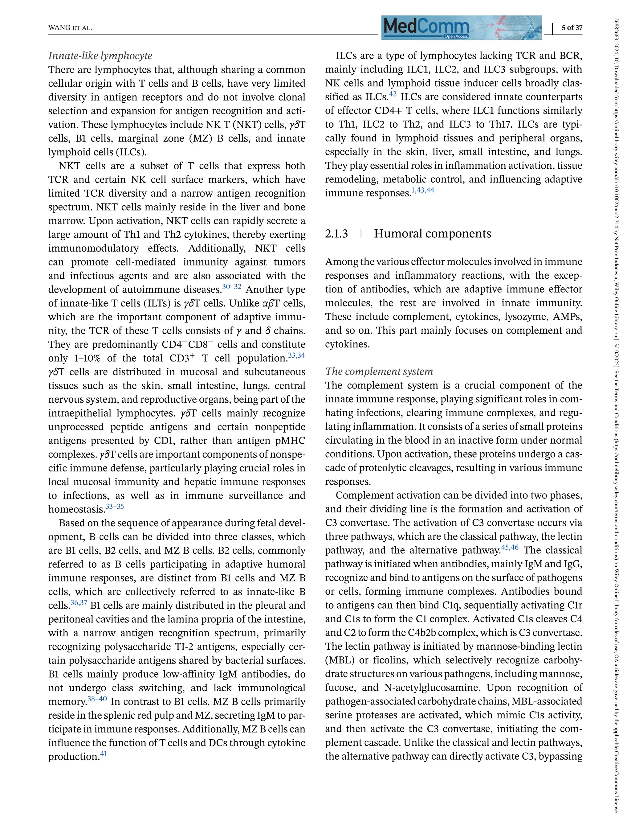 WANG et al. 5 of 37
Innate-like lymphocyte
There are lymphocytes that, although sharing a common
cellular origin with T cells and B cells, have very limited
diversity in antigen receptors and do not involve clonal
selection and expansion for antigen recognition and acti-
vation. These lymphocytes include NK T (NKT) cells, γδT
cells, B1 cells, marginal zone (MZ) B cells, and innate
lymphoid cells (ILCs).
NKT cells are a subset of T cells that express both
TCR and certain NK cell surface markers, which have
limited TCR diversity and a narrow antigen recognition
spectrum. NKT cells mainly reside in the liver and bone
marrow. Upon activation, NKT cells can rapidly secrete a
large amount of Th1 and Th2 cytokines, thereby exerting
immunomodulatory effects. Additionally, NKT cells
can promote cell-mediated immunity against tumors
and infectious agents and are also associated with the
development of autoimmune diseases.30–32 Another type
of innate-like T cells (ILTs) is γδT cells. Unlike αβT cells,
which are the important component of adaptive immu-
nity, the TCR of these T cells consists of γ and δ chains.
They are predominantly CD4−CD8− cells and constitute
only 1–10% of the total CD3+ T cell population.33,34
γδT cells are distributed in mucosal and subcutaneous
tissues such as the skin, small intestine, lungs, central
nervous system, and reproductive organs, being part of the
intraepithelial lymphocytes. γδT cells mainly recognize
unprocessed peptide antigens and certain nonpeptide
antigens presented by CD1, rather than antigen pMHC
complexes. γδT cells are important components of nonspe-
cific immune defense, particularly playing crucial roles in
local mucosal immunity and hepatic immune responses
to infections, as well as in immune surveillance and
homeostasis.33–35
Based on the sequence of appearance during fetal devel-
opment, B cells can be divided into three classes, which
are B1 cells, B2 cells, and MZ B cells. B2 cells, commonly
referred to as B cells participating in adaptive humoral
immune responses, are distinct from B1 cells and MZ B
cells, which are collectively referred to as innate-like B
cells.36,37 B1 cells are mainly distributed in the pleural and
peritoneal cavities and the lamina propria of the intestine,
with a narrow antigen recognition spectrum, primarily
recognizing polysaccharide TI-2 antigens, especially cer-
tain polysaccharide antigens shared by bacterial surfaces.
B1 cells mainly produce low-affinity IgM antibodies, do
not undergo class switching, and lack immunological
memory.38–40 In contrast to B1 cells, MZ B cells primarily
reside in the splenic red pulp and MZ, secreting IgM to par-
ticipate in immune responses. Additionally, MZ B cells can
influence the function of T cells and DCs through cytokine
production.41
ILCs are a type of lymphocytes lacking TCR and BCR,
mainly including ILC1, ILC2, and ILC3 subgroups, with
NK cells and lymphoid tissue inducer cells broadly clas-
sified as ILCs.42 ILCs are considered innate counterparts
of effector CD4+ T cells, where ILC1 functions similarly
to Th1, ILC2 to Th2, and ILC3 to Th17. ILCs are typi-
cally found in lymphoid tissues and peripheral organs,
especially in the skin, liver, small intestine, and lungs.
They play essential roles in inflammation activation, tissue
remodeling, metabolic control, and influencing adaptive
immune responses.1,43,44
2.1.3 Humoral components
Among the various effector molecules involved in immune
responses and inflammatory reactions, with the excep-
tion of antibodies, which are adaptive immune effector
molecules, the rest are involved in innate immunity.
These include complement, cytokines, lysozyme, AMPs,
and so on. This part mainly focuses on complement and
cytokines.
The complement system
The complement system is a crucial component of the
innate immune response, playing significant roles in com-
bating infections, clearing immune complexes, and regu-
lating inflammation. It consists of a series of small proteins
circulating in the blood in an inactive form under normal
conditions. Upon activation, these proteins undergo a cas-
cade of proteolytic cleavages, resulting in various immune
responses.
Complement activation can be divided into two phases,
and their dividing line is the formation and activation of
C3 convertase. The activation of C3 convertase occurs via
three pathways, which are the classical pathway, the lectin
pathway, and the alternative pathway.45,46 The classical
pathway is initiated when antibodies, mainly IgM and IgG,
recognize and bind to antigens on the surface of pathogens
or cells, forming immune complexes. Antibodies bound
to antigens can then bind C1q, sequentially activating C1r
and C1s to form the C1 complex. Activated C1s cleaves C4
and C2 to form the C4b2b complex, which is C3 convertase.
The lectin pathway is initiated by mannose-binding lectin
(MBL) or ficolins, which selectively recognize carbohy-
drate structures on various pathogens, including mannose,
fucose, and N-acetylglucosamine. Upon recognition of
pathogen-associated carbohydrate chains, MBL-associated
serine proteases are activated, which mimic C1s activity,
and then activate the C3 convertase, initiating the com-
plement cascade. Unlike the classical and lectin pathways,
the alternative pathway can directly activate C3, bypassing
26882663,
2024,
10,
Downloaded
from
https://onlinelibrary.wiley.com/doi/10.1002/mco2.714
by
Nat
Prov
Indonesia,
Wiley
Online
Library
on
[13/10/2025].
See
the
Terms
and
Conditions
(https://onlinelibrary.wiley.com/terms-and-conditions)
on
Wiley
Online
Library
for
rules
of
use;
OA
articles
are
governed
by
the
applicable
Creative
Commons
License
 