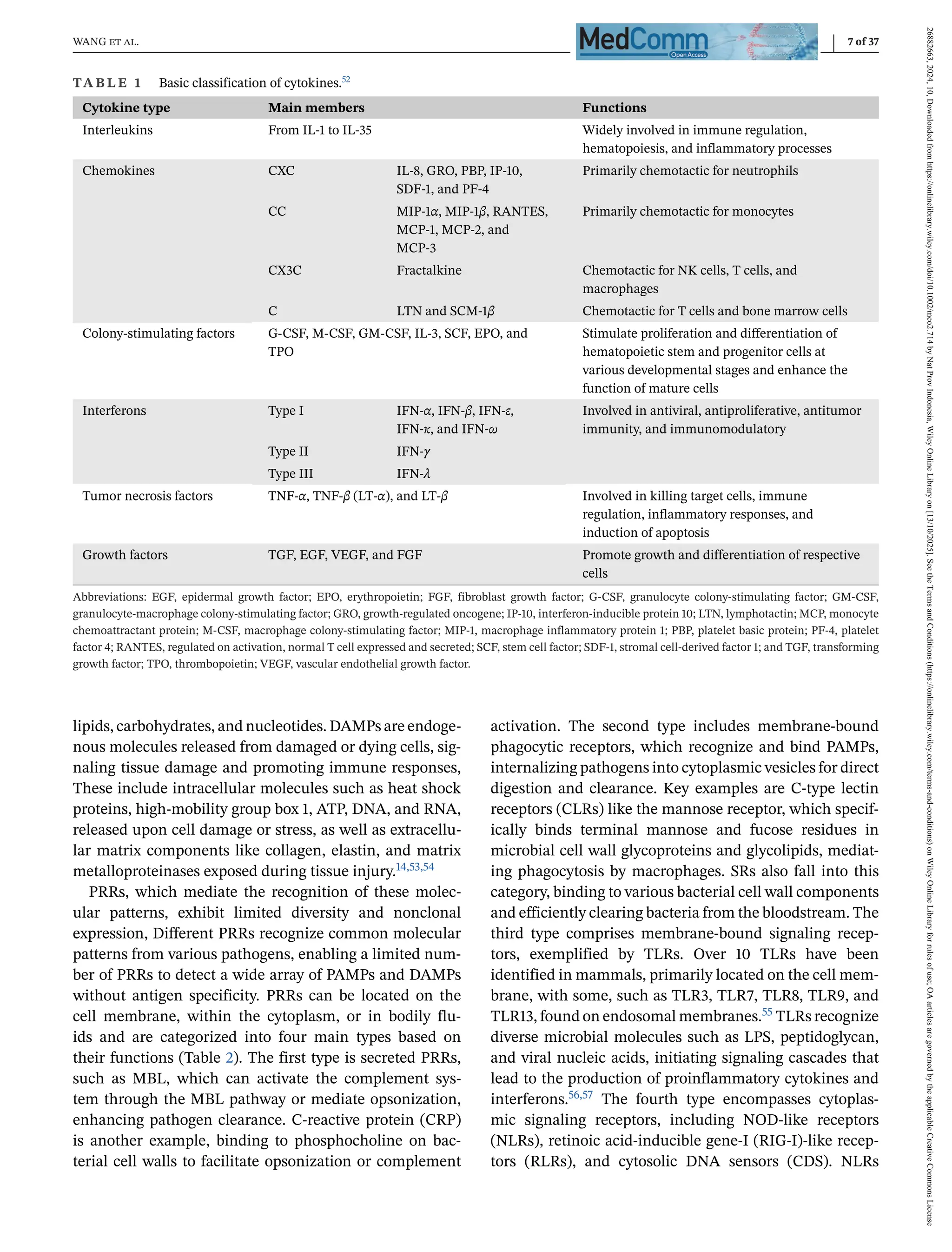 WANG et al. 7 of 37
TA B L E 1 Basic classification of cytokines.52
Cytokine type Main members Functions
Interleukins From IL-1 to IL-35 Widely involved in immune regulation,
hematopoiesis, and inflammatory processes
Chemokines CXC IL-8, GRO, PBP, IP-10,
SDF-1, and PF-4
Primarily chemotactic for neutrophils
CC MIP-1α, MIP-1β, RANTES,
MCP-1, MCP-2, and
MCP-3
Primarily chemotactic for monocytes
CX3C Fractalkine Chemotactic for NK cells, T cells, and
macrophages
C LTN and SCM-1β Chemotactic for T cells and bone marrow cells
Colony-stimulating factors G-CSF, M-CSF, GM-CSF, IL-3, SCF, EPO, and
TPO
Stimulate proliferation and differentiation of
hematopoietic stem and progenitor cells at
various developmental stages and enhance the
function of mature cells
Interferons Type I IFN-α, IFN-β, IFN-ε,
IFN-κ, and IFN-ω
Involved in antiviral, antiproliferative, antitumor
immunity, and immunomodulatory
Type II IFN-γ
Type III IFN-λ
Tumor necrosis factors TNF-α, TNF-β (LT-α), and LT-β Involved in killing target cells, immune
regulation, inflammatory responses, and
induction of apoptosis
Growth factors TGF, EGF, VEGF, and FGF Promote growth and differentiation of respective
cells
Abbreviations: EGF, epidermal growth factor; EPO, erythropoietin; FGF, fibroblast growth factor; G-CSF, granulocyte colony-stimulating factor; GM-CSF,
granulocyte-macrophage colony-stimulating factor; GRO, growth-regulated oncogene; IP-10, interferon-inducible protein 10; LTN, lymphotactin; MCP, monocyte
chemoattractant protein; M-CSF, macrophage colony-stimulating factor; MIP-1, macrophage inflammatory protein 1; PBP, platelet basic protein; PF-4, platelet
factor 4; RANTES, regulated on activation, normal T cell expressed and secreted; SCF, stem cell factor; SDF-1, stromal cell-derived factor 1; and TGF, transforming
growth factor; TPO, thrombopoietin; VEGF, vascular endothelial growth factor.
lipids, carbohydrates, and nucleotides. DAMPs are endoge-
nous molecules released from damaged or dying cells, sig-
naling tissue damage and promoting immune responses,
These include intracellular molecules such as heat shock
proteins, high-mobility group box 1, ATP, DNA, and RNA,
released upon cell damage or stress, as well as extracellu-
lar matrix components like collagen, elastin, and matrix
metalloproteinases exposed during tissue injury.14,53,54
PRRs, which mediate the recognition of these molec-
ular patterns, exhibit limited diversity and nonclonal
expression, Different PRRs recognize common molecular
patterns from various pathogens, enabling a limited num-
ber of PRRs to detect a wide array of PAMPs and DAMPs
without antigen specificity. PRRs can be located on the
cell membrane, within the cytoplasm, or in bodily flu-
ids and are categorized into four main types based on
their functions (Table 2). The first type is secreted PRRs,
such as MBL, which can activate the complement sys-
tem through the MBL pathway or mediate opsonization,
enhancing pathogen clearance. C-reactive protein (CRP)
is another example, binding to phosphocholine on bac-
terial cell walls to facilitate opsonization or complement
activation. The second type includes membrane-bound
phagocytic receptors, which recognize and bind PAMPs,
internalizing pathogens into cytoplasmic vesicles for direct
digestion and clearance. Key examples are C-type lectin
receptors (CLRs) like the mannose receptor, which specif-
ically binds terminal mannose and fucose residues in
microbial cell wall glycoproteins and glycolipids, mediat-
ing phagocytosis by macrophages. SRs also fall into this
category, binding to various bacterial cell wall components
and efficiently clearing bacteria from the bloodstream. The
third type comprises membrane-bound signaling recep-
tors, exemplified by TLRs. Over 10 TLRs have been
identified in mammals, primarily located on the cell mem-
brane, with some, such as TLR3, TLR7, TLR8, TLR9, and
TLR13, found on endosomal membranes.55 TLRs recognize
diverse microbial molecules such as LPS, peptidoglycan,
and viral nucleic acids, initiating signaling cascades that
lead to the production of proinflammatory cytokines and
interferons.56,57 The fourth type encompasses cytoplas-
mic signaling receptors, including NOD-like receptors
(NLRs), retinoic acid-inducible gene-I (RIG-I)-like recep-
tors (RLRs), and cytosolic DNA sensors (CDS). NLRs
26882663,
2024,
10,
Downloaded
from
https://onlinelibrary.wiley.com/doi/10.1002/mco2.714
by
Nat
Prov
Indonesia,
Wiley
Online
Library
on
[13/10/2025].
See
the
Terms
and
Conditions
(https://onlinelibrary.wiley.com/terms-and-conditions)
on
Wiley
Online
Library
for
rules
of
use;
OA
articles
are
governed
by
the
applicable
Creative
Commons
License
 