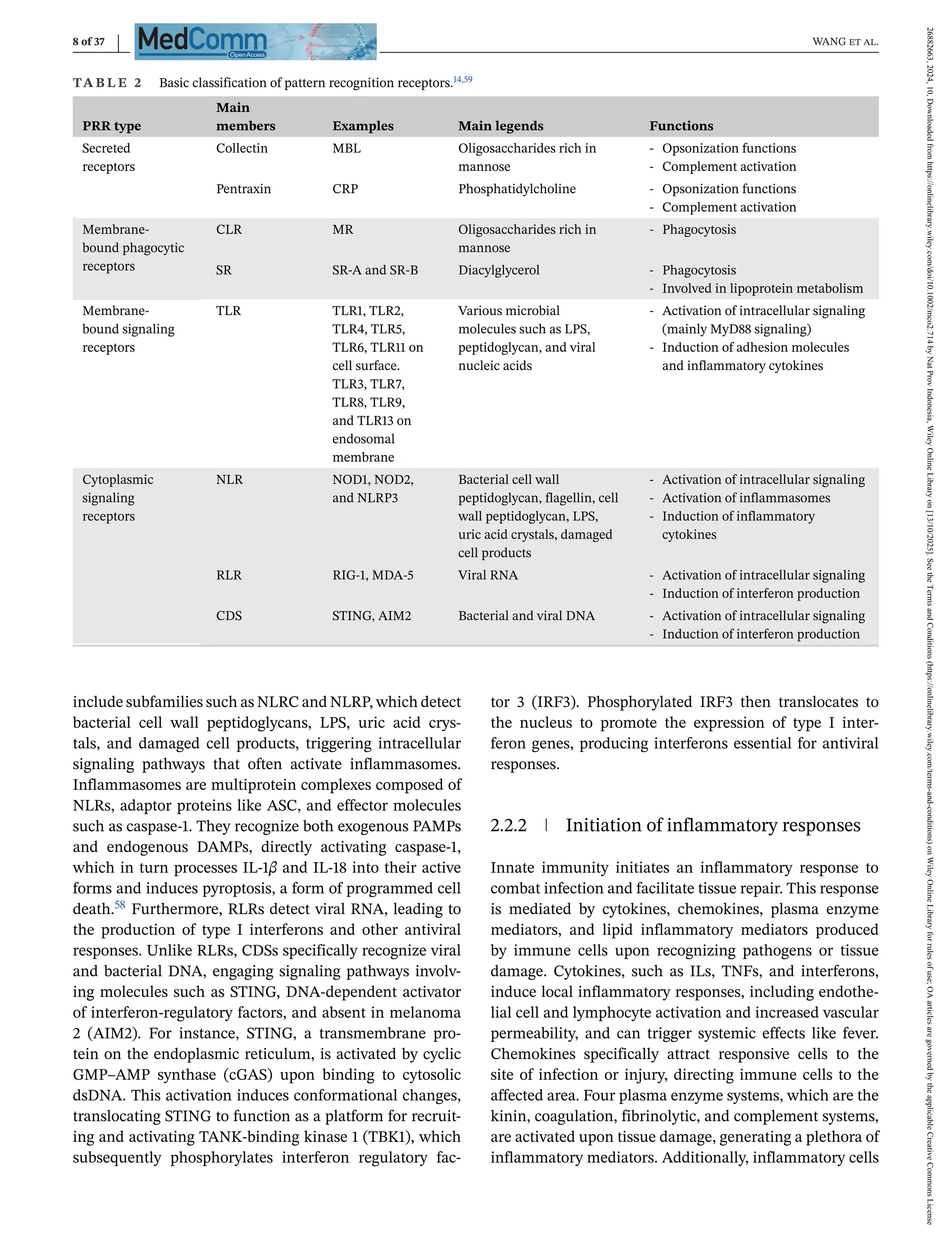 8 of 37 WANG et al.
TA B L E 2 Basic classification of pattern recognition receptors.14,59
PRR type
Main
members Examples Main legends Functions
Secreted
receptors
Collectin MBL Oligosaccharides rich in
mannose
- Opsonization functions
- Complement activation
Pentraxin CRP Phosphatidylcholine - Opsonization functions
- Complement activation
Membrane-
bound phagocytic
receptors
CLR MR Oligosaccharides rich in
mannose
- Phagocytosis
SR SR-A and SR-B Diacylglycerol - Phagocytosis
- Involved in lipoprotein metabolism
Membrane-
bound signaling
receptors
TLR TLR1, TLR2,
TLR4, TLR5,
TLR6, TLR11 on
cell surface.
TLR3, TLR7,
TLR8, TLR9,
and TLR13 on
endosomal
membrane
Various microbial
molecules such as LPS,
peptidoglycan, and viral
nucleic acids
- Activation of intracellular signaling
(mainly MyD88 signaling)
- Induction of adhesion molecules
and inflammatory cytokines
Cytoplasmic
signaling
receptors
NLR NOD1, NOD2,
and NLRP3
Bacterial cell wall
peptidoglycan, flagellin, cell
wall peptidoglycan, LPS,
uric acid crystals, damaged
cell products
- Activation of intracellular signaling
- Activation of inflammasomes
- Induction of inflammatory
cytokines
RLR RIG-1, MDA-5 Viral RNA - Activation of intracellular signaling
- Induction of interferon production
CDS STING, AIM2 Bacterial and viral DNA - Activation of intracellular signaling
- Induction of interferon production
include subfamilies such as NLRC and NLRP, which detect
bacterial cell wall peptidoglycans, LPS, uric acid crys-
tals, and damaged cell products, triggering intracellular
signaling pathways that often activate inflammasomes.
Inflammasomes are multiprotein complexes composed of
NLRs, adaptor proteins like ASC, and effector molecules
such as caspase-1. They recognize both exogenous PAMPs
and endogenous DAMPs, directly activating caspase-1,
which in turn processes IL-1β and IL-18 into their active
forms and induces pyroptosis, a form of programmed cell
death.58 Furthermore, RLRs detect viral RNA, leading to
the production of type I interferons and other antiviral
responses. Unlike RLRs, CDSs specifically recognize viral
and bacterial DNA, engaging signaling pathways involv-
ing molecules such as STING, DNA-dependent activator
of interferon-regulatory factors, and absent in melanoma
2 (AIM2). For instance, STING, a transmembrane pro-
tein on the endoplasmic reticulum, is activated by cyclic
GMP–AMP synthase (cGAS) upon binding to cytosolic
dsDNA. This activation induces conformational changes,
translocating STING to function as a platform for recruit-
ing and activating TANK-binding kinase 1 (TBK1), which
subsequently phosphorylates interferon regulatory fac-
tor 3 (IRF3). Phosphorylated IRF3 then translocates to
the nucleus to promote the expression of type I inter-
feron genes, producing interferons essential for antiviral
responses.
2.2.2 Initiation of inflammatory responses
Innate immunity initiates an inflammatory response to
combat infection and facilitate tissue repair. This response
is mediated by cytokines, chemokines, plasma enzyme
mediators, and lipid inflammatory mediators produced
by immune cells upon recognizing pathogens or tissue
damage. Cytokines, such as ILs, TNFs, and interferons,
induce local inflammatory responses, including endothe-
lial cell and lymphocyte activation and increased vascular
permeability, and can trigger systemic effects like fever.
Chemokines specifically attract responsive cells to the
site of infection or injury, directing immune cells to the
affected area. Four plasma enzyme systems, which are the
kinin, coagulation, fibrinolytic, and complement systems,
are activated upon tissue damage, generating a plethora of
inflammatory mediators. Additionally, inflammatory cells
26882663,
2024,
10,
Downloaded
from
https://onlinelibrary.wiley.com/doi/10.1002/mco2.714
by
Nat
Prov
Indonesia,
Wiley
Online
Library
on
[13/10/2025].
See
the
Terms
and
Conditions
(https://onlinelibrary.wiley.com/terms-and-conditions)
on
Wiley
Online
Library
for
rules
of
use;
OA
articles
are
governed
by
the
applicable
Creative
Commons
License
 
