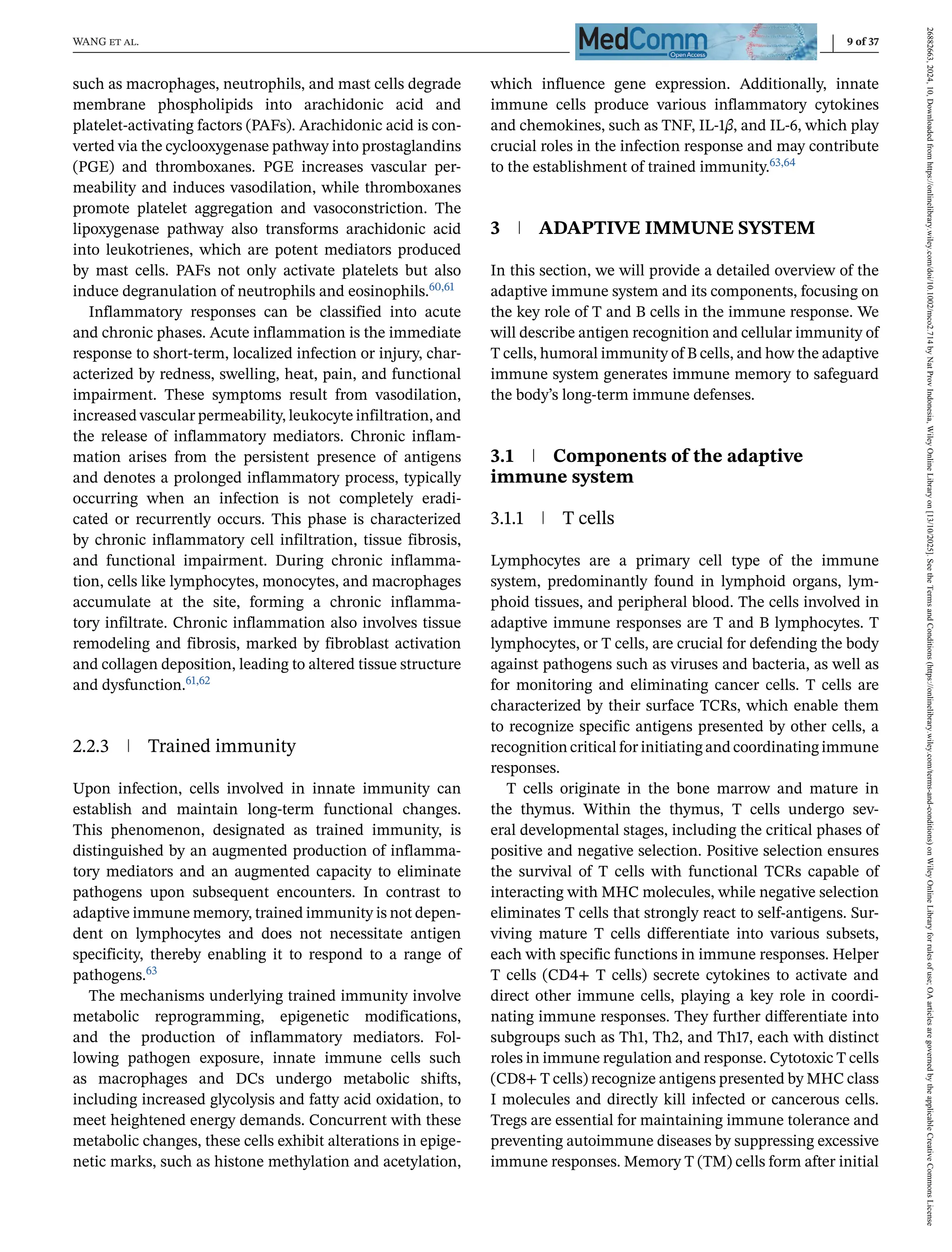 WANG et al. 9 of 37
such as macrophages, neutrophils, and mast cells degrade
membrane phospholipids into arachidonic acid and
platelet-activating factors (PAFs). Arachidonic acid is con-
verted via the cyclooxygenase pathway into prostaglandins
(PGE) and thromboxanes. PGE increases vascular per-
meability and induces vasodilation, while thromboxanes
promote platelet aggregation and vasoconstriction. The
lipoxygenase pathway also transforms arachidonic acid
into leukotrienes, which are potent mediators produced
by mast cells. PAFs not only activate platelets but also
induce degranulation of neutrophils and eosinophils.60,61
Inflammatory responses can be classified into acute
and chronic phases. Acute inflammation is the immediate
response to short-term, localized infection or injury, char-
acterized by redness, swelling, heat, pain, and functional
impairment. These symptoms result from vasodilation,
increased vascular permeability, leukocyte infiltration, and
the release of inflammatory mediators. Chronic inflam-
mation arises from the persistent presence of antigens
and denotes a prolonged inflammatory process, typically
occurring when an infection is not completely eradi-
cated or recurrently occurs. This phase is characterized
by chronic inflammatory cell infiltration, tissue fibrosis,
and functional impairment. During chronic inflamma-
tion, cells like lymphocytes, monocytes, and macrophages
accumulate at the site, forming a chronic inflamma-
tory infiltrate. Chronic inflammation also involves tissue
remodeling and fibrosis, marked by fibroblast activation
and collagen deposition, leading to altered tissue structure
and dysfunction.61,62
2.2.3 Trained immunity
Upon infection, cells involved in innate immunity can
establish and maintain long-term functional changes.
This phenomenon, designated as trained immunity, is
distinguished by an augmented production of inflamma-
tory mediators and an augmented capacity to eliminate
pathogens upon subsequent encounters. In contrast to
adaptive immune memory, trained immunity is not depen-
dent on lymphocytes and does not necessitate antigen
specificity, thereby enabling it to respond to a range of
pathogens.63
The mechanisms underlying trained immunity involve
metabolic reprogramming, epigenetic modifications,
and the production of inflammatory mediators. Fol-
lowing pathogen exposure, innate immune cells such
as macrophages and DCs undergo metabolic shifts,
including increased glycolysis and fatty acid oxidation, to
meet heightened energy demands. Concurrent with these
metabolic changes, these cells exhibit alterations in epige-
netic marks, such as histone methylation and acetylation,
which influence gene expression. Additionally, innate
immune cells produce various inflammatory cytokines
and chemokines, such as TNF, IL-1β, and IL-6, which play
crucial roles in the infection response and may contribute
to the establishment of trained immunity.63,64
3 ADAPTIVE IMMUNE SYSTEM
In this section, we will provide a detailed overview of the
adaptive immune system and its components, focusing on
the key role of T and B cells in the immune response. We
will describe antigen recognition and cellular immunity of
T cells, humoral immunity of B cells, and how the adaptive
immune system generates immune memory to safeguard
the body’s long-term immune defenses.
3.1 Components of the adaptive
immune system
3.1.1 T cells
Lymphocytes are a primary cell type of the immune
system, predominantly found in lymphoid organs, lym-
phoid tissues, and peripheral blood. The cells involved in
adaptive immune responses are T and B lymphocytes. T
lymphocytes, or T cells, are crucial for defending the body
against pathogens such as viruses and bacteria, as well as
for monitoring and eliminating cancer cells. T cells are
characterized by their surface TCRs, which enable them
to recognize specific antigens presented by other cells, a
recognition critical for initiating and coordinating immune
responses.
T cells originate in the bone marrow and mature in
the thymus. Within the thymus, T cells undergo sev-
eral developmental stages, including the critical phases of
positive and negative selection. Positive selection ensures
the survival of T cells with functional TCRs capable of
interacting with MHC molecules, while negative selection
eliminates T cells that strongly react to self-antigens. Sur-
viving mature T cells differentiate into various subsets,
each with specific functions in immune responses. Helper
T cells (CD4+ T cells) secrete cytokines to activate and
direct other immune cells, playing a key role in coordi-
nating immune responses. They further differentiate into
subgroups such as Th1, Th2, and Th17, each with distinct
roles in immune regulation and response. Cytotoxic T cells
(CD8+ T cells) recognize antigens presented by MHC class
I molecules and directly kill infected or cancerous cells.
Tregs are essential for maintaining immune tolerance and
preventing autoimmune diseases by suppressing excessive
immune responses. Memory T (TM) cells form after initial
26882663,
2024,
10,
Downloaded
from
https://onlinelibrary.wiley.com/doi/10.1002/mco2.714
by
Nat
Prov
Indonesia,
Wiley
Online
Library
on
[13/10/2025].
See
the
Terms
and
Conditions
(https://onlinelibrary.wiley.com/terms-and-conditions)
on
Wiley
Online
Library
for
rules
of
use;
OA
articles
are
governed
by
the
applicable
Creative
Commons
License
 