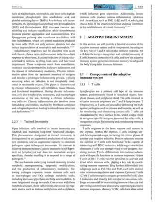 MedComm - 2024 - Wang - The interaction of innate immune and adaptive ...