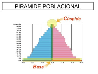 PIRAMIDE POBLACIONAL 
