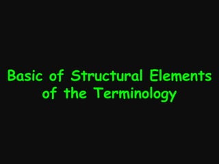 Basic of Structural Elements
of the Terminology

 