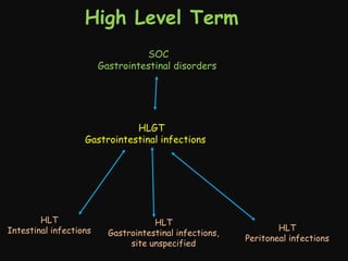 High Level Term
SOC
Gastrointestinal disorders
　

HLGT
Gastrointestinal infections 　

HLT
Intestinal infections

HLT
Gastrointestinal infections,
site unspecified

HLT
Peritoneal infections

 