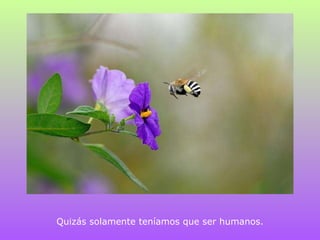 Quizás solamente teníamos que ser humanos. 