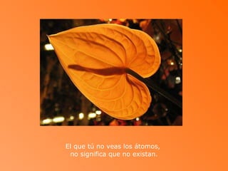 El que tú no veas los átomos,  no significa que no existan.   