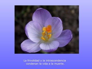 La frivolidad y la intrascendencia  condenan la vida a la muerte. 