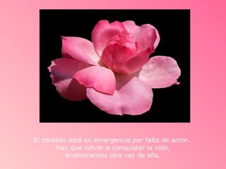 El corazón está en emergencia por falta de amor.  Hay que volver a conquistar la vida,  enamorarnos otra vez de ella.  
