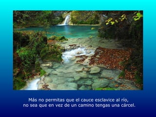 Más no permitas que el cauce esclavice al río,  no sea que en vez de un camino tengas una cárcel. 