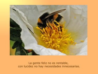 La gente feliz no es rentable,  con lucidez no hay necesidades innecesarias.   