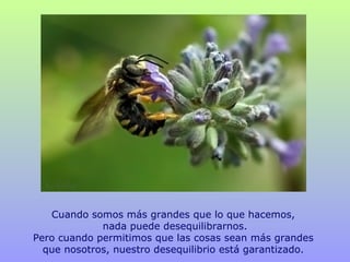 Cuando somos más grandes que lo que hacemos,  nada puede desequilibrarnos. Pero cuando permitimos que las cosas sean más grandes  que nosotros, nuestro desequilibrio está garantizado.  