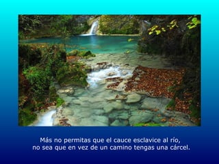 Más no permitas que el cauce esclavice al río,  no sea que en vez de un camino tengas una cárcel. 