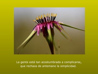 La gente está tan acostumbrada a complicarse , que rechaza de antemano la simplicidad.     