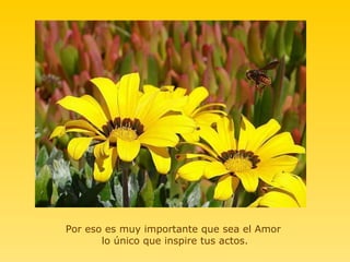 Por eso es muy importante que sea el Amor
       lo único que inspire tus actos.
 