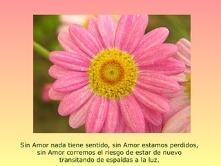 Sin Amor nada tiene sentido, sin Amor estamos perdidos,
     sin Amor corremos el riesgo de estar de nuevo
           transitando de espaldas a la luz.
 