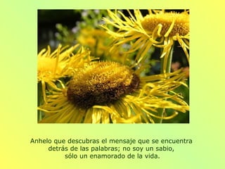 Anhelo que descubras el mensaje que se encuentra
     detrás de las palabras; no soy un sabio,
          sólo un enamorado de la vida.
 