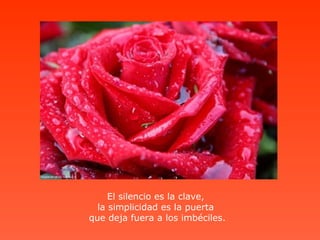 El silencio es la clave,
  la simplicidad es la puerta
que deja fuera a los imbéciles.
 