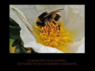 La gente feliz no es rentable,
con lucidez no hay necesidades innecesarias.
 