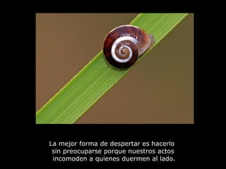 La mejor forma de despertar es hacerlo
 sin preocuparse porque nuestros actos
 incomoden a quienes duermen al lado.
 