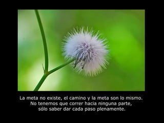 La meta no existe, el camino y la meta son lo mismo.
    No tenemos que correr hacia ninguna parte,
       sólo saber dar cada paso plenamente.
 
