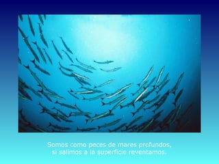 Somos como peces de mares profundos,
 si salimos a la superficie reventamos.
 