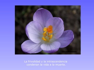 La frivolidad y la intrascendencia
  condenan la vida a la muerte.
 