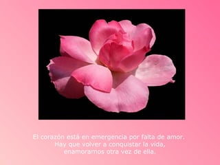 El corazón está en emergencia por falta de amor.
       Hay que volver a conquistar la vida,
          enamorarnos otra vez de ella.
 