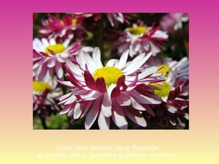 Quizá sólo seamos agua fluyendo;
el camino nos lo tenemos que hacer nosotros.
 