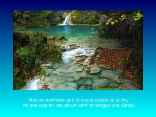 Más no permitas que el cauce esclavice al río,
no sea que en vez de un camino tengas una cárcel.
 